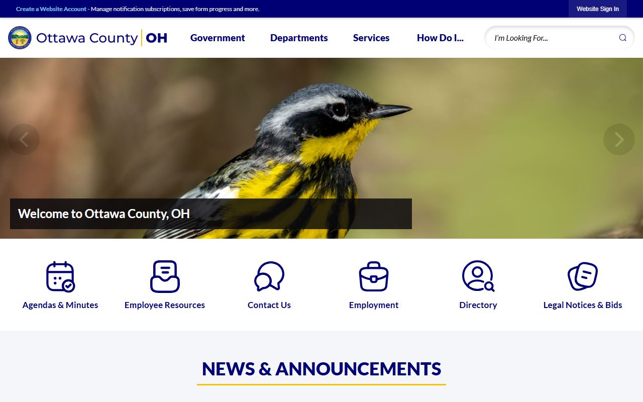Ottawa County Clerk of Courts website for bench warrant records